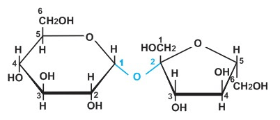 Thủy phân saccarozơ | C12H22O11 + H2O → C6H12O6 (glucozơ) + C6H12O6 (fructozơ)