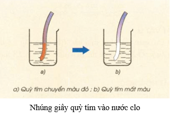 Cu + Cl2 → CuCl2 | Cu ra CuCl2 | Cl2 ra CuCl2