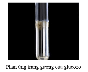 C6H12O6 →  CO2 + C2H5OH | C6H12O6 ra C2H5OH (lên men rượu)