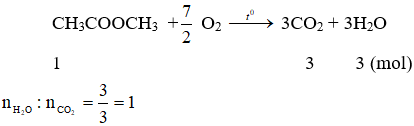 2CH<sub>3</sub>COOCH<sub>3</sub> +  7O<sub>2</sub> → 6CO<sub>2</sub> + 6H<sub>2</sub>O | Cân bằng phương trình hóa học