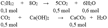 C<sub>5</sub>H<sub>12</sub> → C<sub>2</sub>H<sub>4</sub> + C<sub>3</sub>H<sub>8</sub> | Cân bằng phương trình hóa học