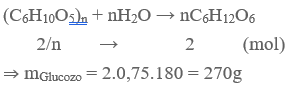 (C6H10O5)n  + H2O → nC6H12O6  | Cân bằng phương trình hóa học