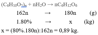 Thủy phân tinh bột hoặc Cellulose | (C6H10O5)n  + H2O → nC6H12O6  | (C6H10O5)n ra C6H12O6