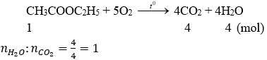CH<sub>3</sub>COOC<sub>2</sub>H<sub>5</sub> + 5O<sub>2</sub> → 4CO<sub>2</sub> + 4H<sub>2</sub>O | CH3COOC2H5 ra CO2