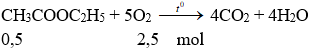 CH<sub>3</sub>COOC<sub>2</sub>H<sub>5</sub> + 5O<sub>2</sub> → 4CO<sub>2</sub> + 4H<sub>2</sub>O | Cân bằng phương trình hóa học