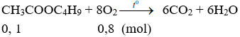 CH<sub>3</sub>COOC<sub>4</sub>H<sub>9</sub> + 8O<sub>2</sub> → 6CO<sub>2</sub> + 6H<sub>2</sub>O | Cân bằng phương trình hóa học