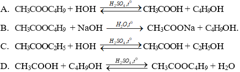 CH<sub>3</sub>COOC<sub>4</sub>H<sub>9</sub>  + NaOH   CH<sub>3</sub>COONa +  C<sub>4</sub>H<sub>9</sub>OH | Cân bằng phương trình hóa học