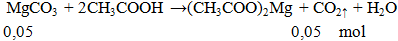 MgCO3 + 2CH3COOH → (CH3COO)2Mg + CO2 ↑ + H2O | Cân bằng phương trình hóa học