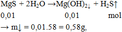 MgS + 2H2O → Mg(OH)2 ↓ + H2S ↑ | Cân bằng phương trình hóa học