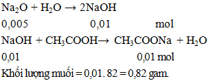 Na2O + 2CH3COOH → 2CH3COONa + H2O | Cân bằng phương trình hóa học