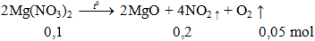 2Mg(NO3)2 → 2MgO + 4NO2 ↑ + O2 ↑ | Cân bằng phương trình hóa học
