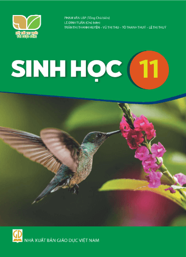 PDF Sinh học 11 Kết nối tri thức