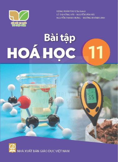 SBT Hóa học 11 Kết nối tri thức PDF