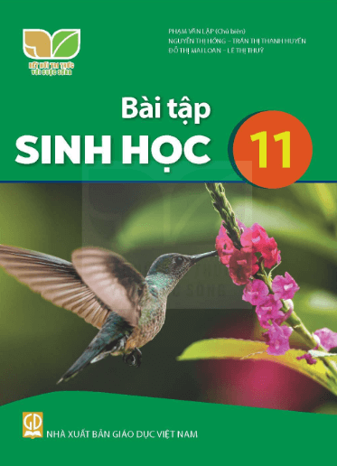 SBT Sinh học 11 Kết nối tri thức PDF