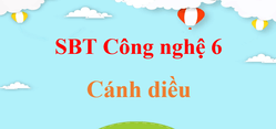 SBT Công nghệ 6 Cánh diều | Giải sách Bài tập Công nghệ 6 (hay, ngắn gọn)