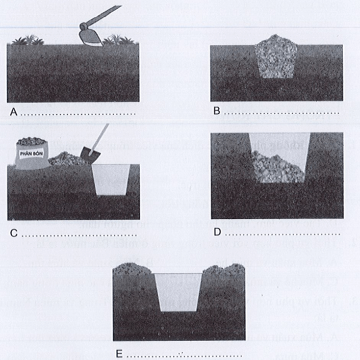 Hãy điền tên các bước làm đất trồng cây rừng với các hình ảnh phù hợp
