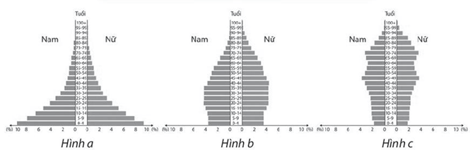 Kiểu tháp dân số nào sau đây thể hiện cơ cấu dân số già?