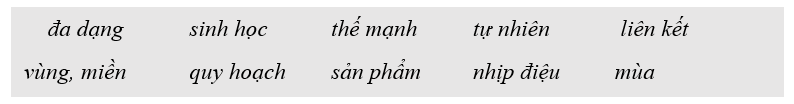 Điền các từ hoặc cụm từ thích hợp cho sẵn vào chỗ trống để hoàn thành đoạn thông tin