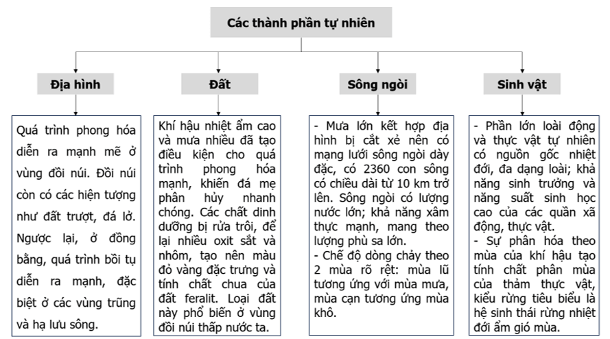 Hoàn thành thông tin về biểu hiện của thiên nhiên nhiệt đới ẩm gió mùa ở nước ta