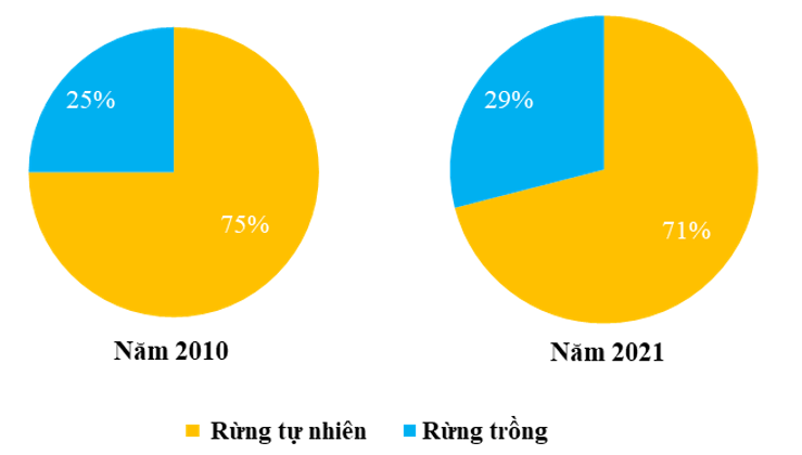 Dựa vào bảng 27.2 trang 117 SGK, hãy: Tính cơ cấu diện tích rừng ở Bắc Trung Bộ