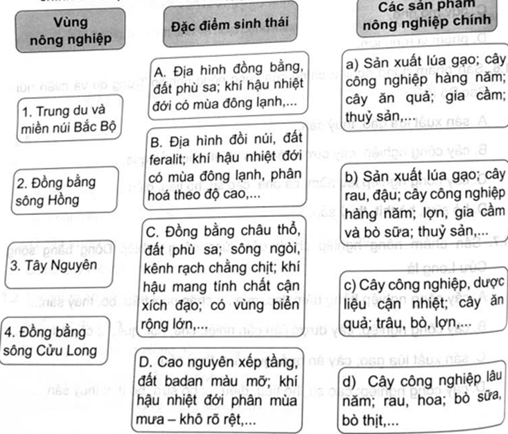 Ghép thông tin ở cột bên trái với thông tin cột ở giữa và thông tin ở cột bên phải