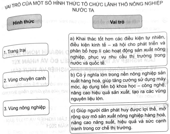 Ghép thông tin ở cột bên trái với thông tin ở cột bên phải sao cho phù hợp về vai trò