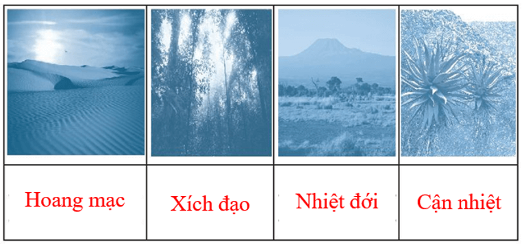 Hãy điền tên môi trường tự nhiên ở châu Phi vào chỗ trống (...) của các hình ảnh dưới đây