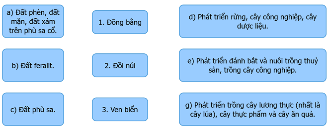 Ghép thông tin ở cột bên trái, bên phải với thông tin ở giữa cho phù hợp về đặc điểm địa hình và đất ở vùng Đồng bằng sông Hồng