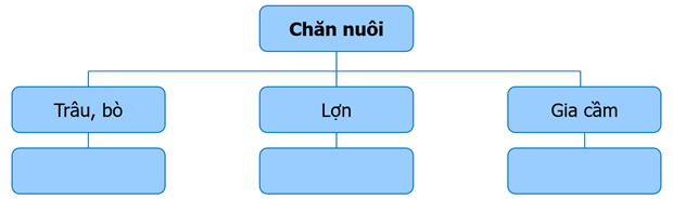 Lập sơ đồ theo gợi ý sau về sự phát triển và phân bố ngành chăn nuôi ở nước ta