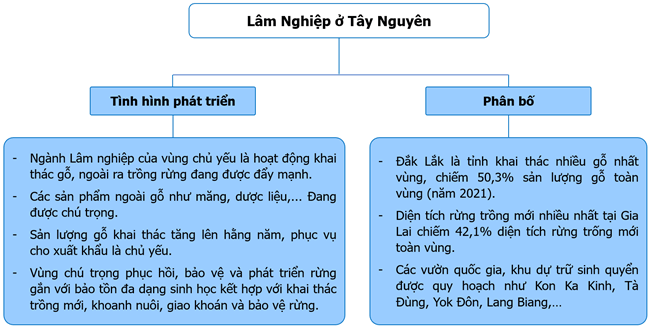 Vẽ sơ đồ về sự phát triển và phân bố lâm nghiệp tại Tây Nguyên