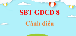 SBT GDCD 8 Cánh diều | Giải sách Bài tập Giáo dục công dân 8 (hay, ngắn gọn)