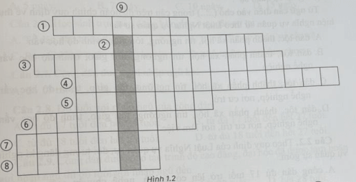 Tìm các ô chữ ở 8 hàng ngang để có từ ngữ ở hàng dọc 9) trong hình 1.2