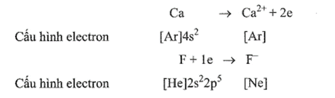 Viết hai giai đoạn của sự hình thành CaF2