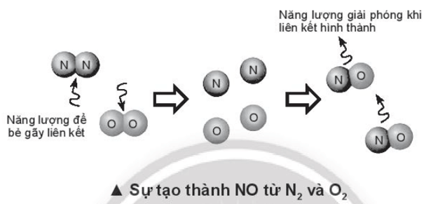 Tính nhiệt tạo thành chuẩn của HF và NO dựa vào năng lượng liên kết (ảnh 2)