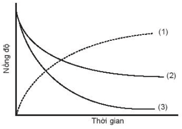 Đồ thị biểu diễn đường cong động học của phản ứng giữa oxygen (ảnh 2)