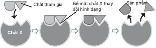 Sản phẩm của phản ứng được tạo ra qua các bước theo hình bên dưới (ảnh 2)