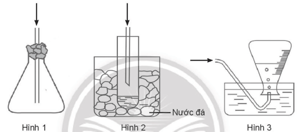 Cách thu khí hydrogen halide trong phòng thí nghiệm phù hợp là (ảnh 2)