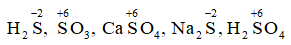 Cho các phân tử sau: H2S, SO3, CaSO4, Na2S, H2SO4