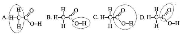 Trường hợp nào dưới đây khoanh đúng nhóm chức carboxylic acid
