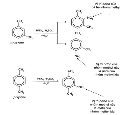 Giải thích tại sao m-xylene tham gia phản ứng nitro hoá nhanh hơn p-xylene 100 lần