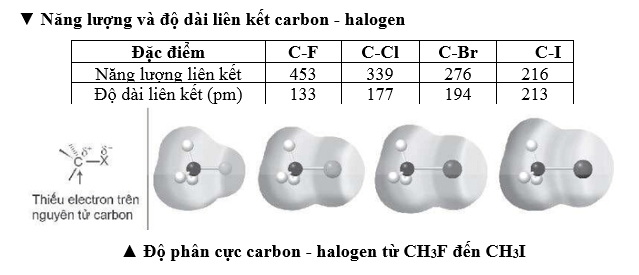 Nghiên cứu số liệu về năng lượng liên kết, độ dài liên kết và độ phân cực carbon - halogen