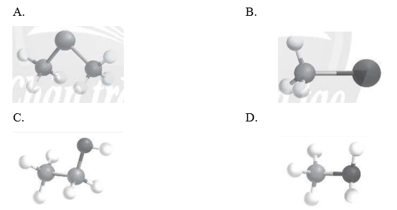 Mô hình phân tử nào là dẫn xuất halogen của hydrocarbon