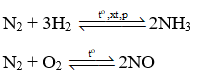 Viết phản ứng chứng minh nitrogen hoạt động hoá học ở nhiệt độ cao