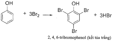 Khi nhỏ từ từ dung dịch bromine vào ống nghiệm chứa dung dịch phenol hiện tượng quan sát được 