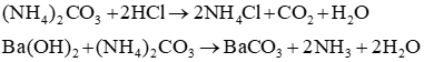 Viết phương trình hoá học xảy ra khi cho dung dịch (NH4)2CO3 lần lượt tác dụng với lượng dư các dung dịch