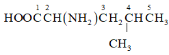 Leucine có công thức cấu tạo HOOCCH(NH2)CH2CH(CH3)2 là α-amino acid