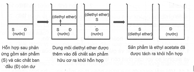 Một nhóm học sinh đã thực hiện phản ứng điều chế ethyl acetate từ nguyên liệu ban đầu từ acetic acid và ethanol trong phòng thí nghiệm