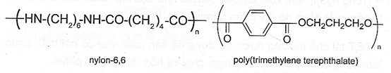 Polymer phân hủy sinh học thường chứa những loại liên kết nào trong mạch chính của polymer