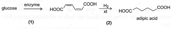 Adipic acid được sử dụng để tổng hợp vật liệu như nylon – 6,6. Các nhà khoa học đã thành công