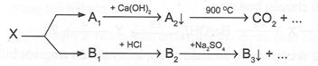 Cho sơ đồ trang 115 Sách bài tập Hóa học 12